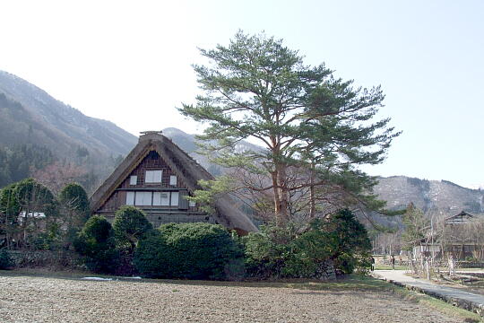 和田家 の写真(83) 2009年03月21日