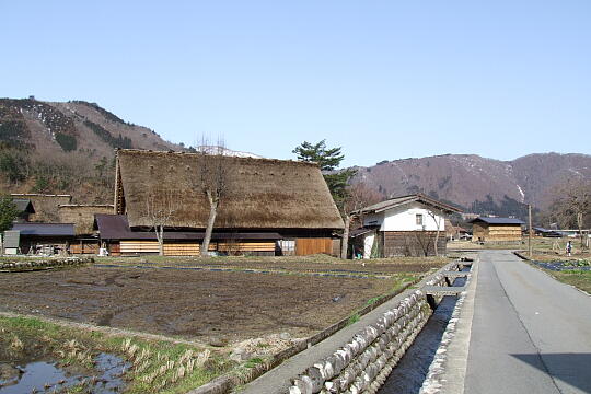 和田家 の写真(84) 2009年03月21日