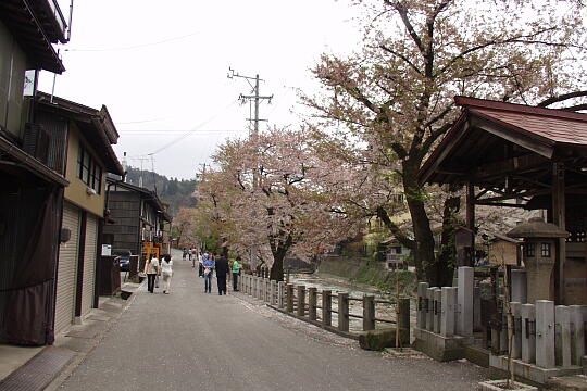 /pref-gifu/takayama/g050429/ikadabashiP4292650.JPG 筏橋 の写真(81) 2005年04月29日