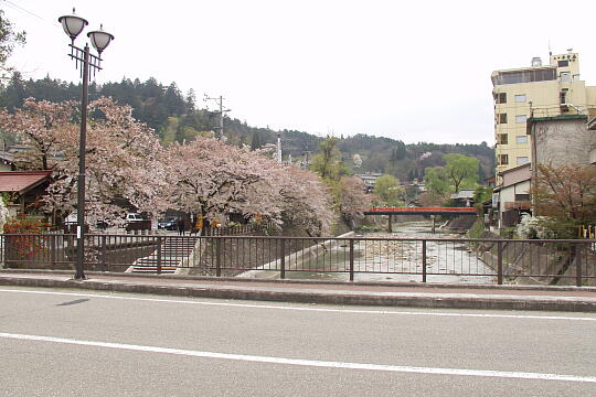 /pref-gifu/takayama/g050429/ikadabashiP4292655.JPG 筏橋 の写真(84) 2005年04月29日