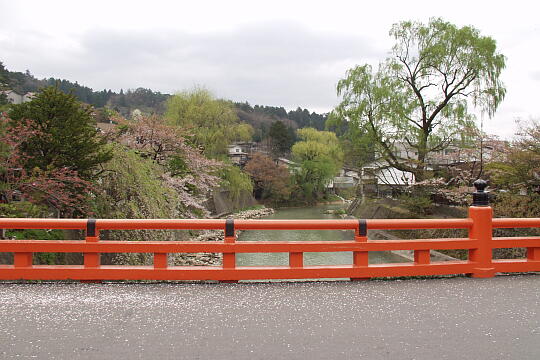 中橋 の写真(83) 2005年04月29日