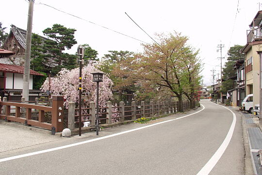 /pref-gifu/takayama/g050429/nawatebashiP4292515.JPG 縄手橋 の写真(82) 2005年04月29日