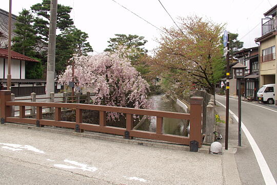 /pref-gifu/takayama/g050429/nawatebashiP4292520.JPG 縄手橋 の写真(83) 2005年04月29日