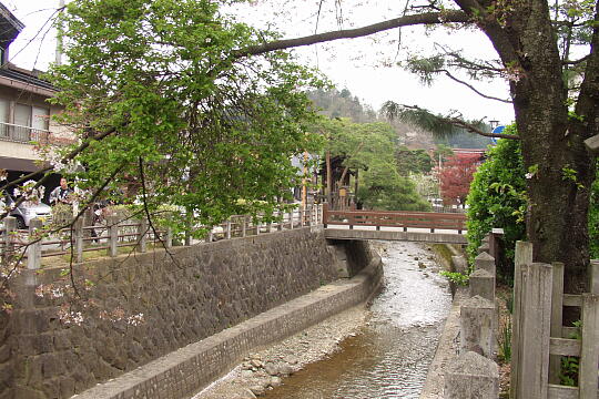 /pref-gifu/takayama/g050429/terauchibashiP4292507.JPG 寺内橋 の写真(81) 2005年04月29日