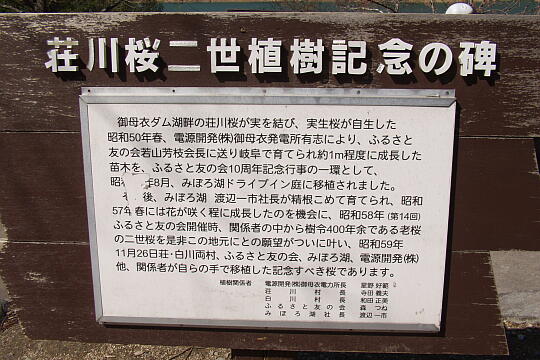 荘川桜 の写真(89) 2006年05月03日