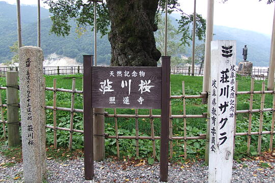 荘川桜（秋） の写真(81) 2007年10月07日