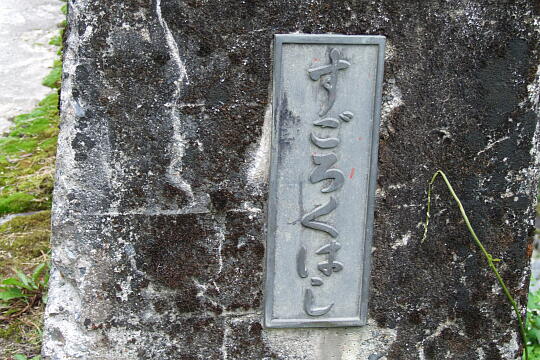 双六渓谷・双六橋 の写真(84) 2008年06月07日