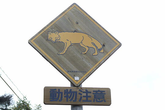 チャオ御嶽スキー場 の写真(85) 2007年09月22日