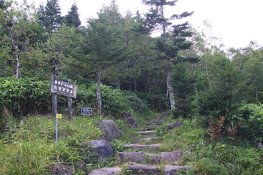 峠の森 の写真(81) 2007年09月22日