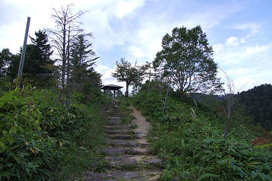 峠の森 の写真(83) 2007年09月22日