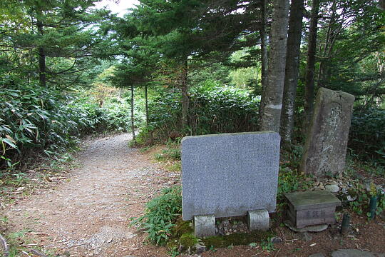 峠の森 の写真(87) 2007年09月22日
