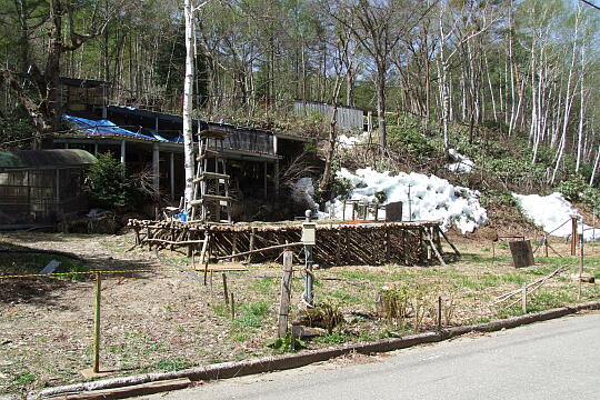 /pref-gifu/takayamatakane/g080504/hyotenkanomoriDSCF9055.JPG 氷点下の森(秋神温泉) の写真(83) 2008年05月04日