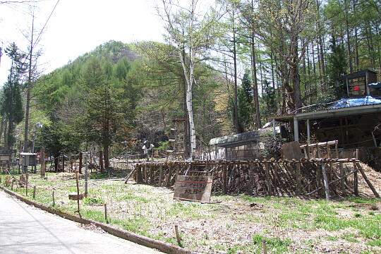 /pref-gifu/takayamatakane/g080504/hyotenkanomoriDSCF9058.JPG 氷点下の森(秋神温泉) の写真(84) 2008年05月04日
