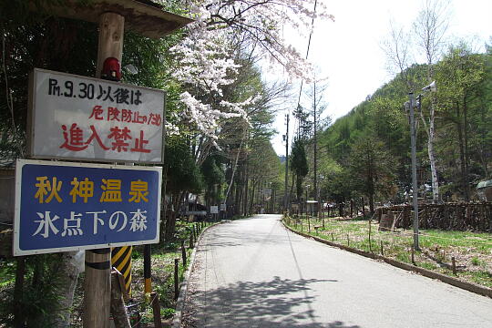 /pref-gifu/takayamatakane/g080504/hyotenkanomoriDSCF9059.JPG 氷点下の森(秋神温泉) の写真(85) 2008年05月04日
