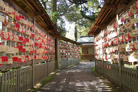 /pref-ishikawa/hakui/g060504/en-musubiP5046279.JPG 気多大社 えんむすび の写真(84) 2006年05月04日