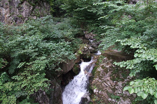 /pref-ishikawa/hakusan/g070929/koarashidakiDSCF3873.JPG 小嵐滝 の写真(81) 2007年09月29日