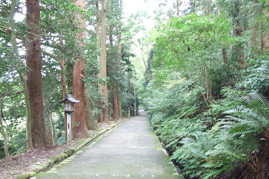 /pref-ishikawa/hakusan/g070929/shirayamasan-2DSCF3386.JPG 白山比咩神社(しらやまさん)の参道 の写真(82) 2007年09月29日