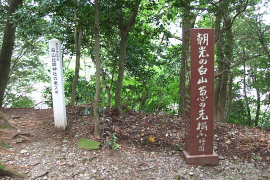 /pref-ishikawa/hakusan/g070929/shirayamasan-2DSCF3519.JPG 白山比咩神社(しらやまさん)の参道 の写真(86) 2007年09月29日