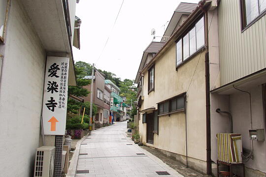 /pref-ishikawa/kaga/g050612/aizenjiP6124408.JPG 愛染寺 の写真(81) 2005年06月12日