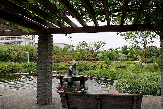/pref-ishikawa/kaga/g050612/kohan-koenP6124469.JPG 湖畔公園 の写真(84) 2005年06月12日