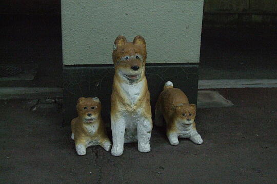 /pref-ishikawa/kahoku/g070816/tsubata-stnDSCF7656.JPG JR津幡駅 の写真(81) 2007年08月16日