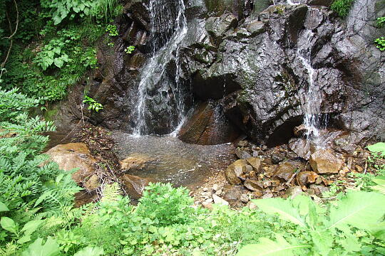西俣大滝 の写真(86) 2008年06月08日