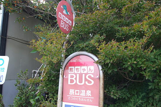 /pref-ishikawa/nomi/g071014/tatsunokuchi-onsenDSCF5616.JPG 辰口温泉 の写真(84) 2007年10月14日
