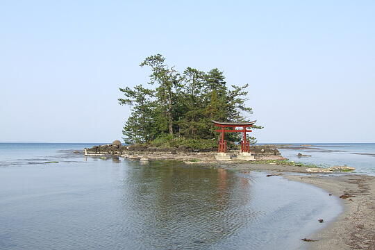 恋路海岸 の写真(85) 2007年04月29日