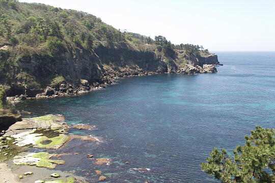 /pref-ishikawa/shika/g060504/yasenodangaiP5046390.JPG ヤセの断崖 の写真(81) 2006年05月04日