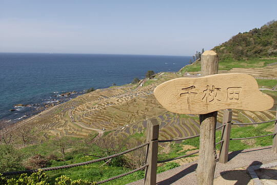 /pref-ishikawa/wajima/g060504/me-semmaidaP5046548.JPG 道の駅 千枚田ポケットパーク の写真(81) 2006年05月04日