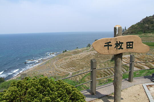 /pref-ishikawa/wajima/g070429/semmaida-a5242.JPG 白米の千枚田 の写真(82) 2007年04月29日