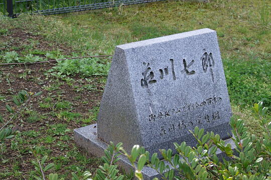 /pref-ishikawa/wajima/g070429/shogawa-sakura4885.JPG 荘川桜・荘川七郎 の写真(81) 2007年04月29日