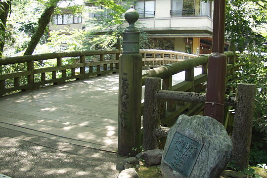 /pref-ishikawa/yamanaka/g040808/korogibashi-aP8081014.JPG こおろぎ橋 の写真(83) 2004年08月08日