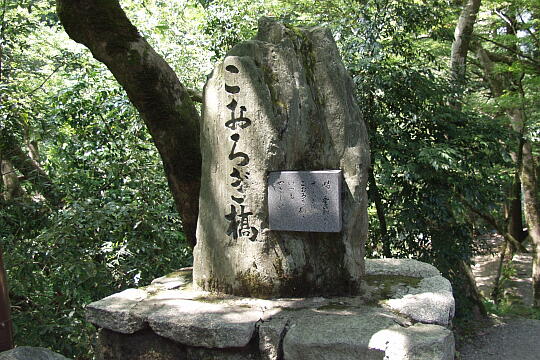 /pref-ishikawa/yamanaka/g040808/korogibashi-bP8081001.JPG こおろぎ橋周辺 の写真(81) 2004年08月08日