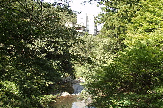 /pref-ishikawa/yamanaka/g040808/korogibashi-bP8081005.JPG こおろぎ橋周辺 の写真(83) 2004年08月08日