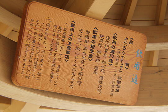 足湯 の写真(81) 2005年06月26日