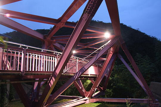 /pref-ishikawa/yamanaka/g070617/ayatori-yoru6682.JPG あやとりはし(夜) の写真(84) 2007年06月17日