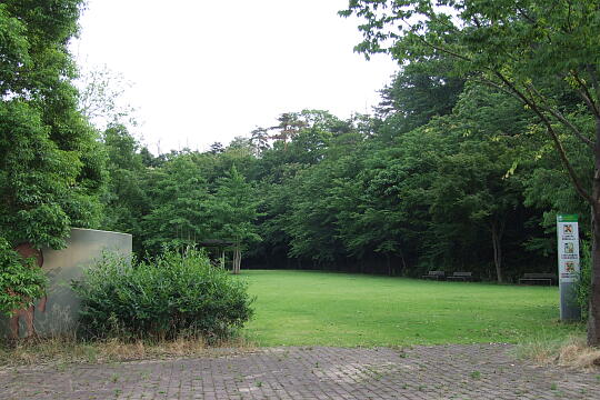 /pref-ishikawa/yamashiro/g070617/shoraikoen6600.JPG 松籟公園 の写真(81) 2007年06月17日