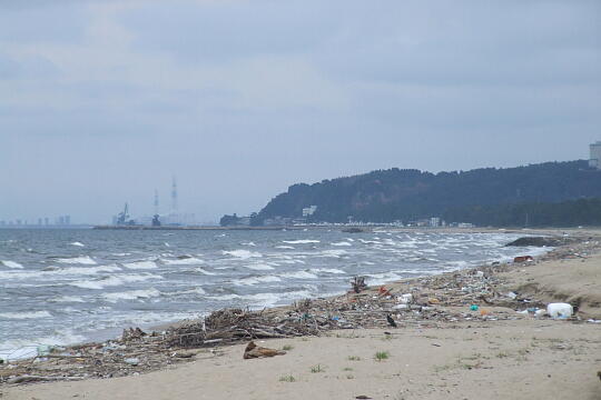 /pref-toyama/himi/g060917/shokubutsuen-kaiganDSCF0330.JPG 氷見市海浜植物園そばの海岸 の写真(85) 2006年09月17日