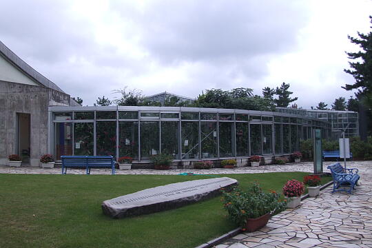 /pref-toyama/himi/g060917/shokubutsuenDSCF0319.JPG 氷見市海浜植物園 の写真(82) 2006年09月17日