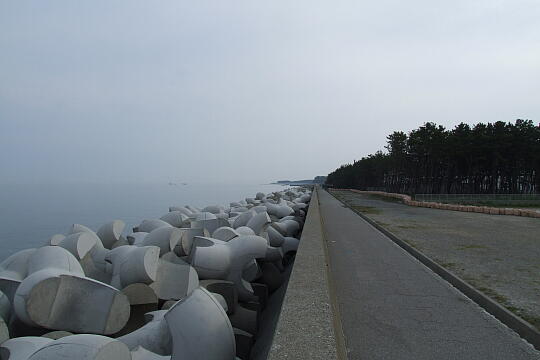 生地台場 の写真(88) 2009年05月04日