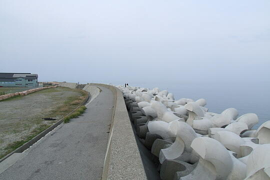 生地台場 の写真(89) 2009年05月04日