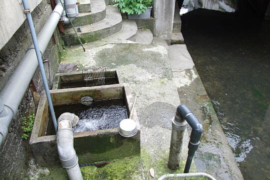 /pref-toyama/kurobe/g090504/no15DSCF7115.JPG 〔No.15〕源兵サの清水 の写真(82) 2009年05月04日