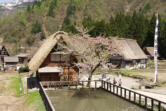 〔上平〕菅沼合掌集落 の写真(88) 2006年05月03日