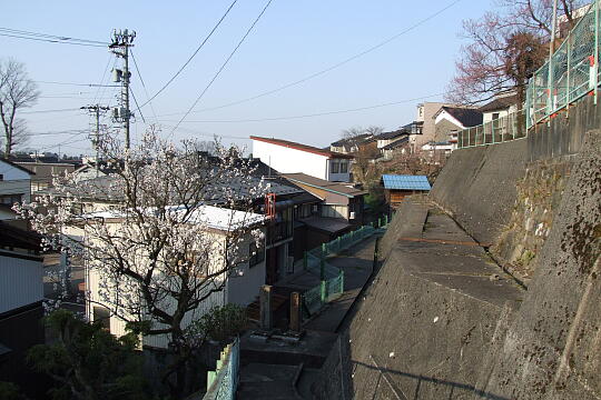 /pref-toyama/nanto/g080406/jo-hojojinosakaDSCF8463.JPG 〔城端〕法乗寺の坂 の写真(81) 2008年04月06日