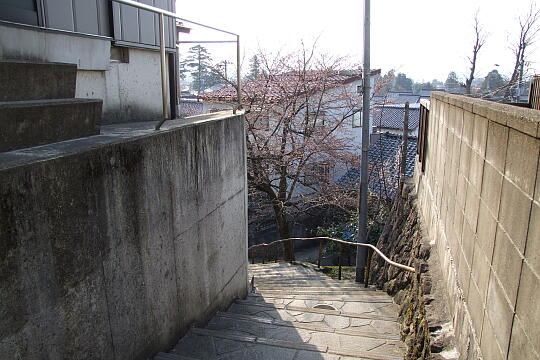 /pref-toyama/nanto/g080406/jo-sakurazakaDSCF8439.JPG 〔城端〕桜坂 の写真(81) 2008年04月06日
