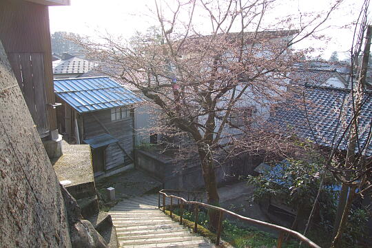 /pref-toyama/nanto/g080406/jo-sakurazakaDSCF8442.JPG 〔城端〕桜坂 の写真(82) 2008年04月06日
