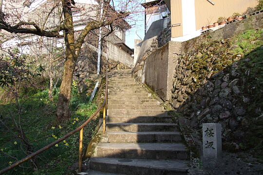 /pref-toyama/nanto/g080406/jo-sakurazakaDSCF8450.JPG 〔城端〕桜坂 の写真(83) 2008年04月06日