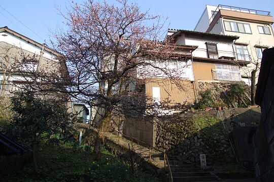 /pref-toyama/nanto/g080406/jo-sakurazakaDSCF8457.JPG 〔城端〕桜坂 の写真(84) 2008年04月06日
