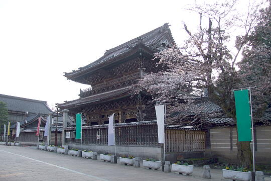 /pref-toyama/nanto/g080406/jo-zentokujiDSCF8547.JPG 〔城端〕城端別院 善徳寺 の写真(86) 2008年04月06日